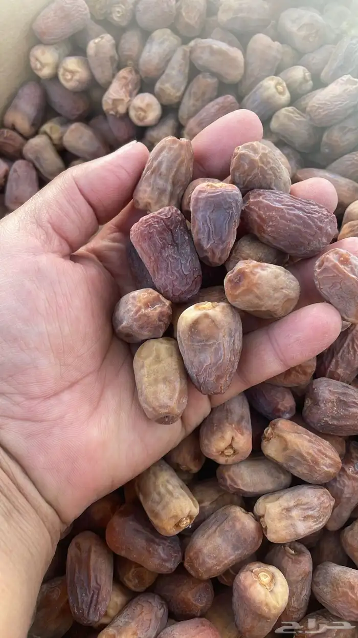 تمر للبيع جديد انتاج السنه 3