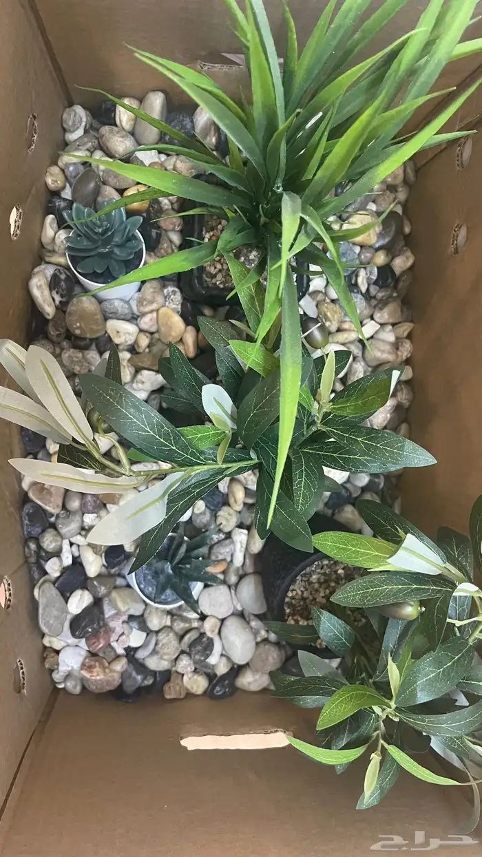 حجر زينه جديد 0