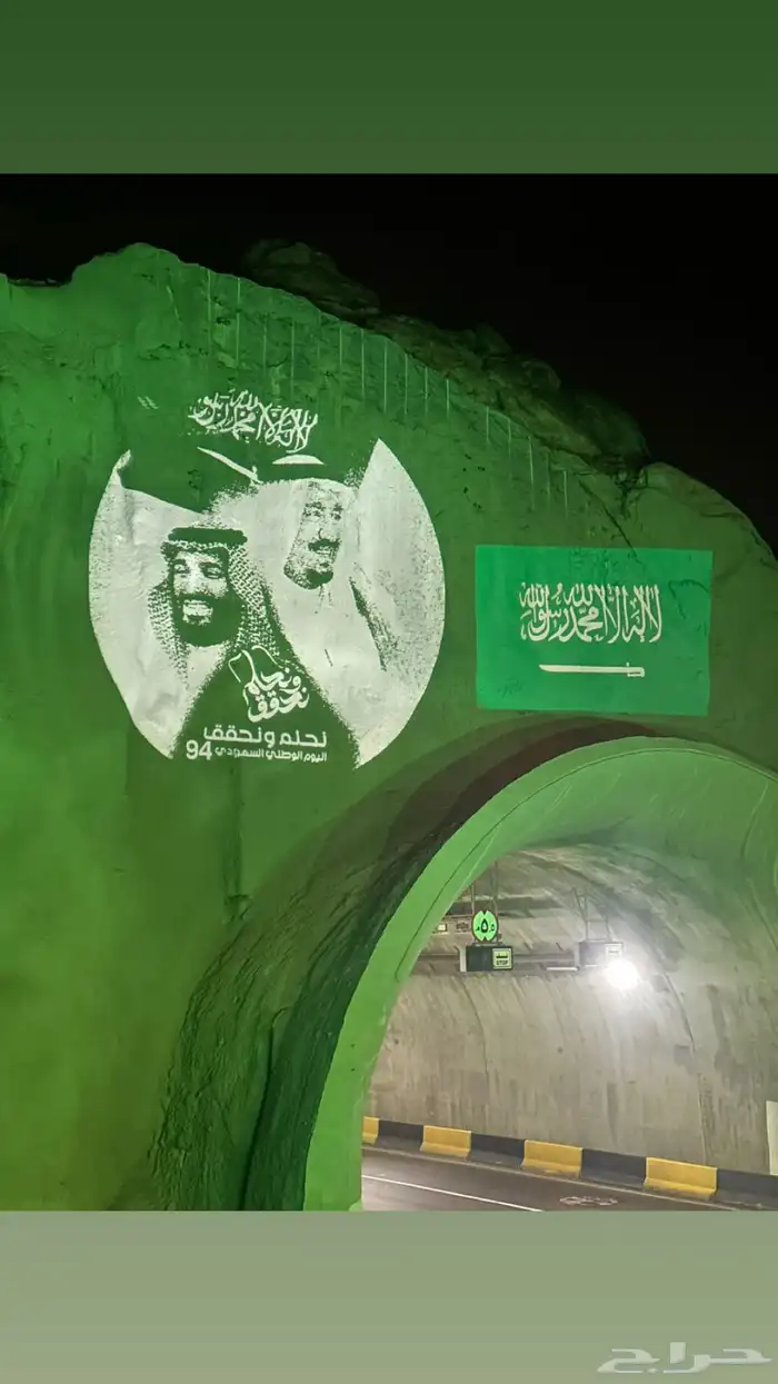 كشافات ستي كلر لليوم الوطني بيع ايجار 2