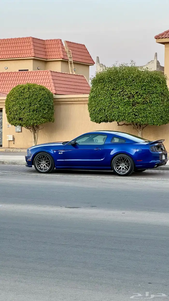 موستنج 2013 2