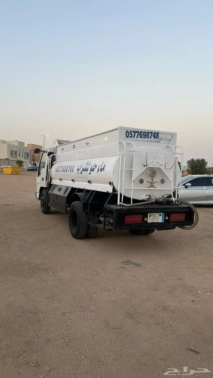 دينا سيزو وايت 3