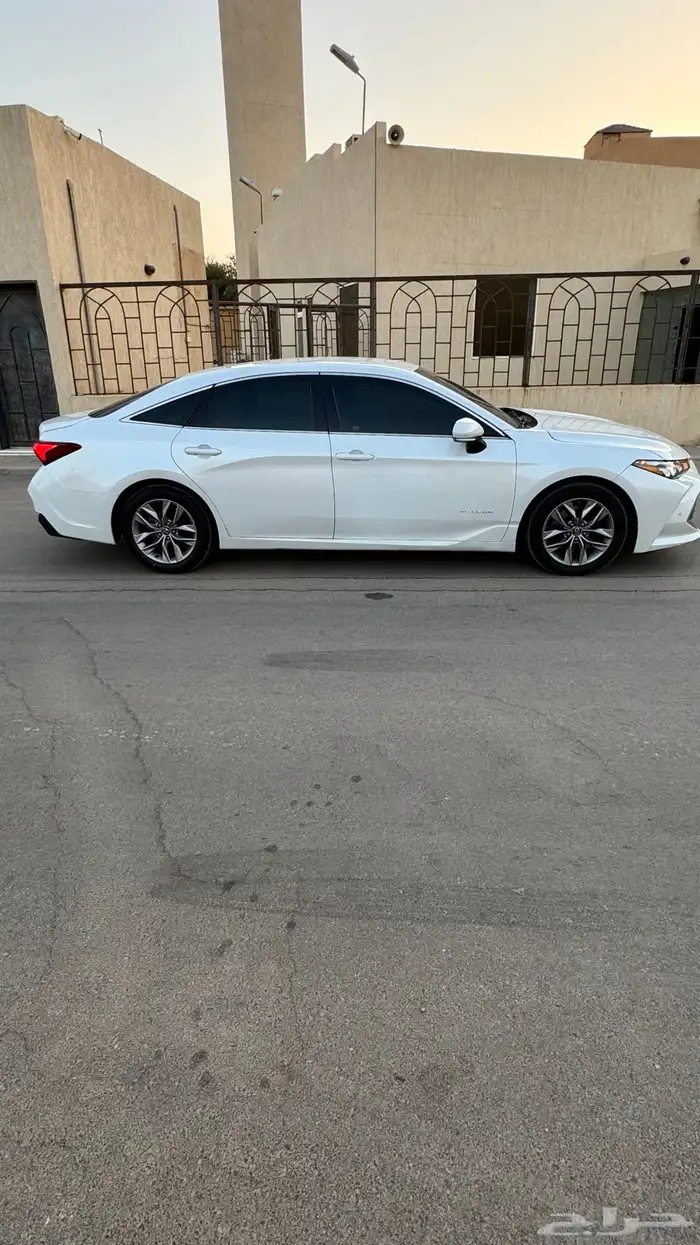 افلون 2019 4