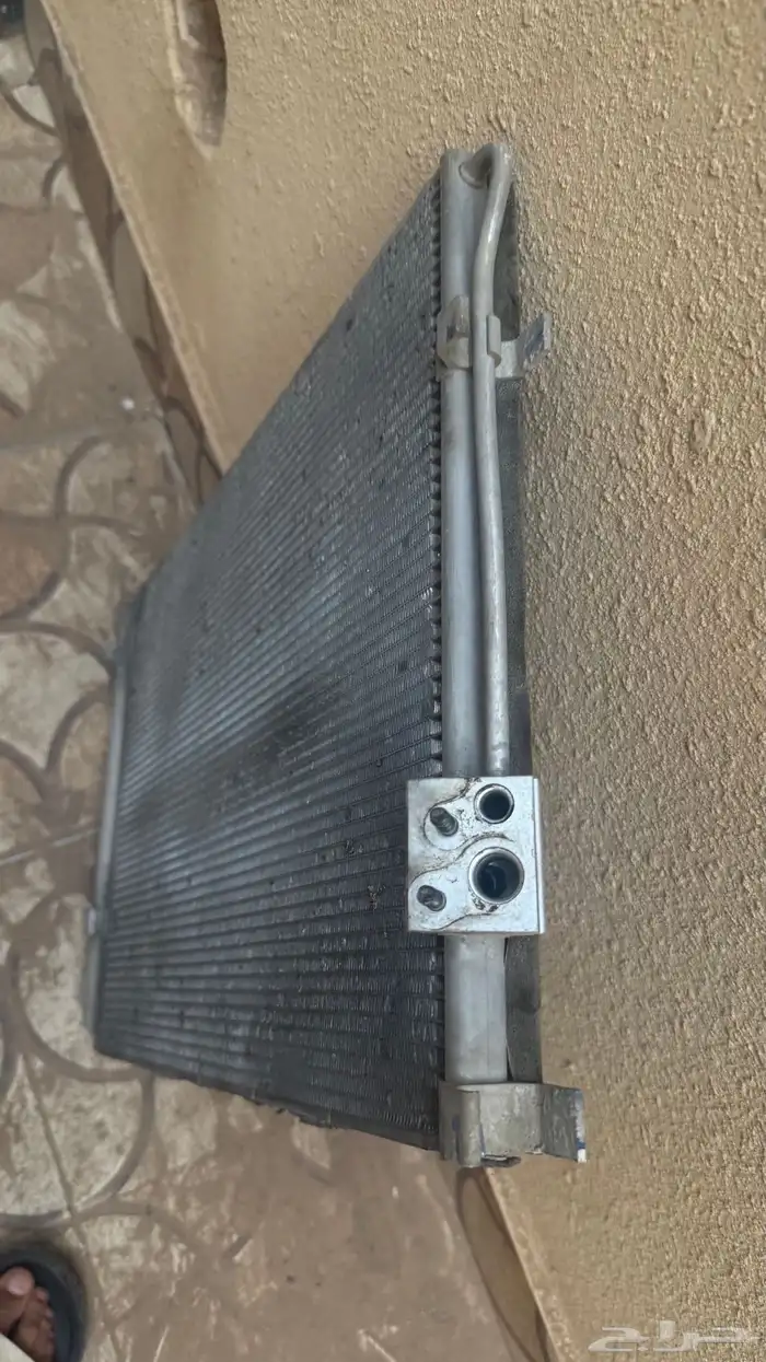 ريدتر اكسنت 2019 2