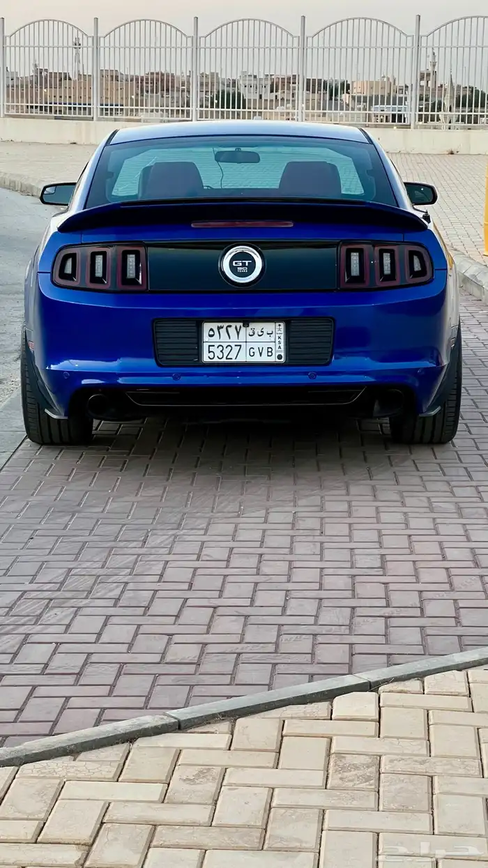 موستنج 2013 3
