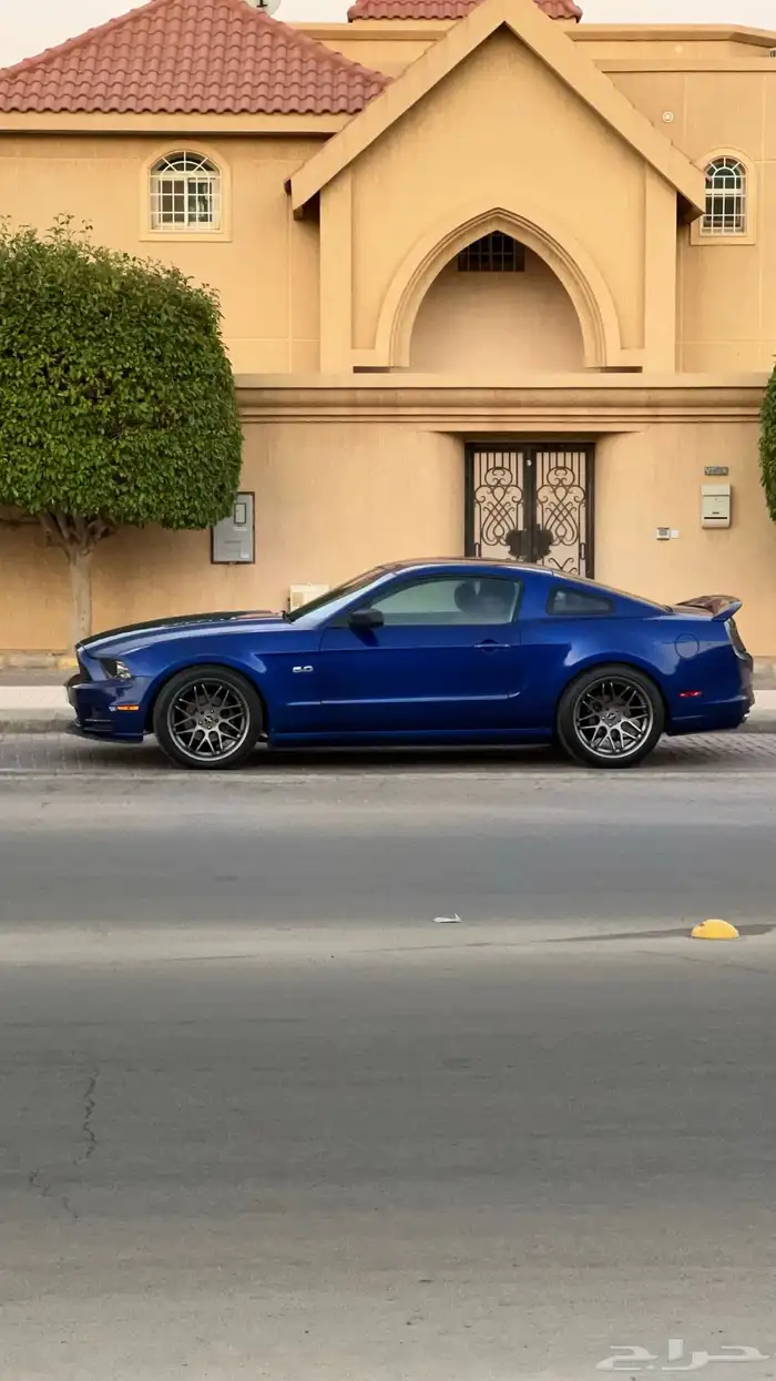 موستنج 2013 1