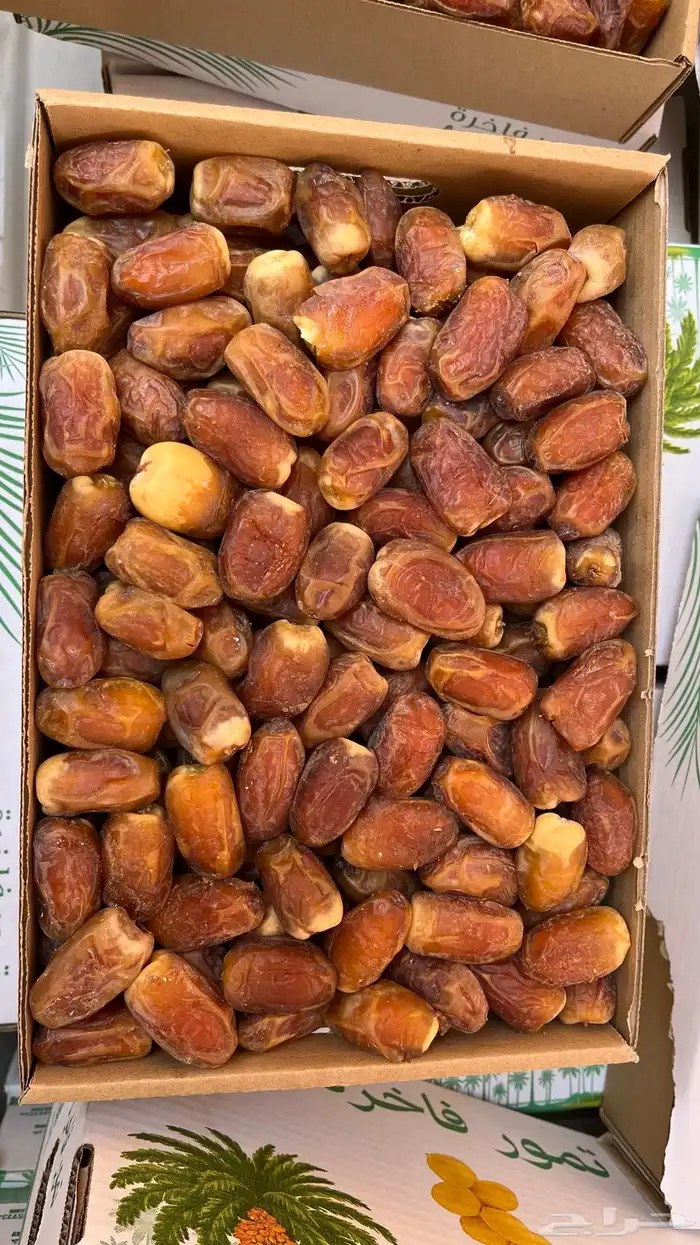 تمر صقعي للبيع 1