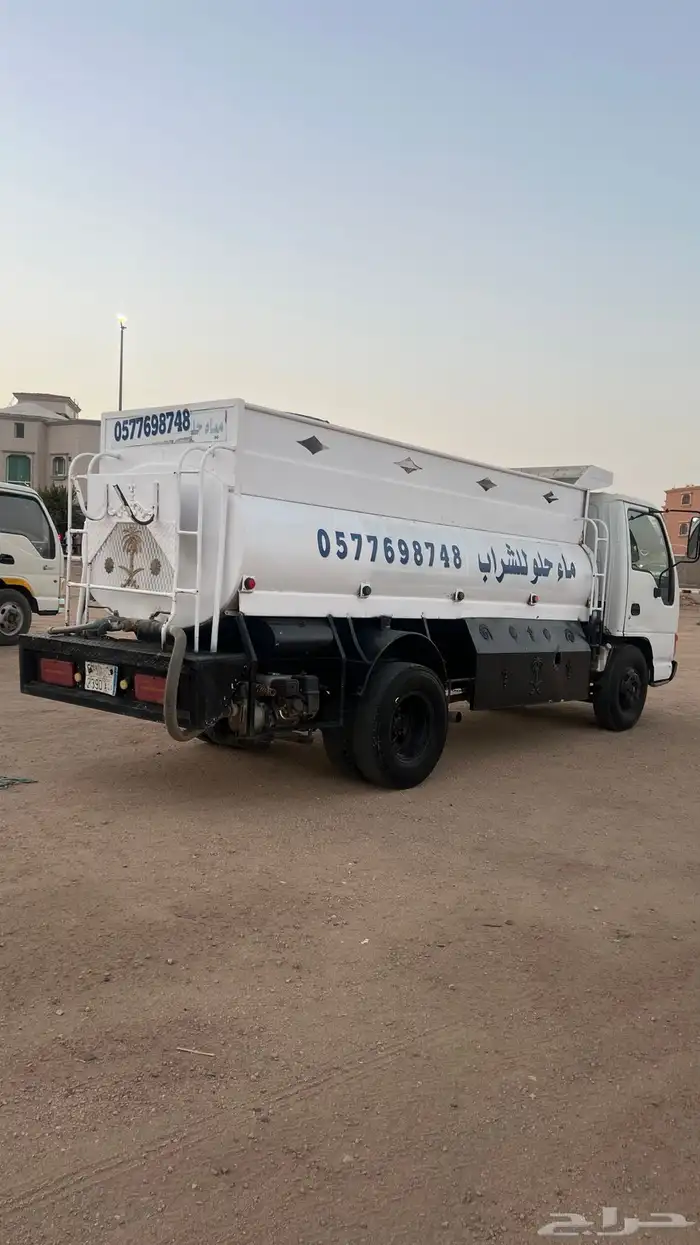 دينا سيزو وايت 2