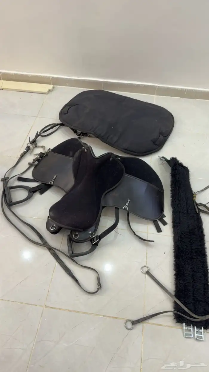 سرج  لباد  الجام  صدريه  شكيمه(H) 0