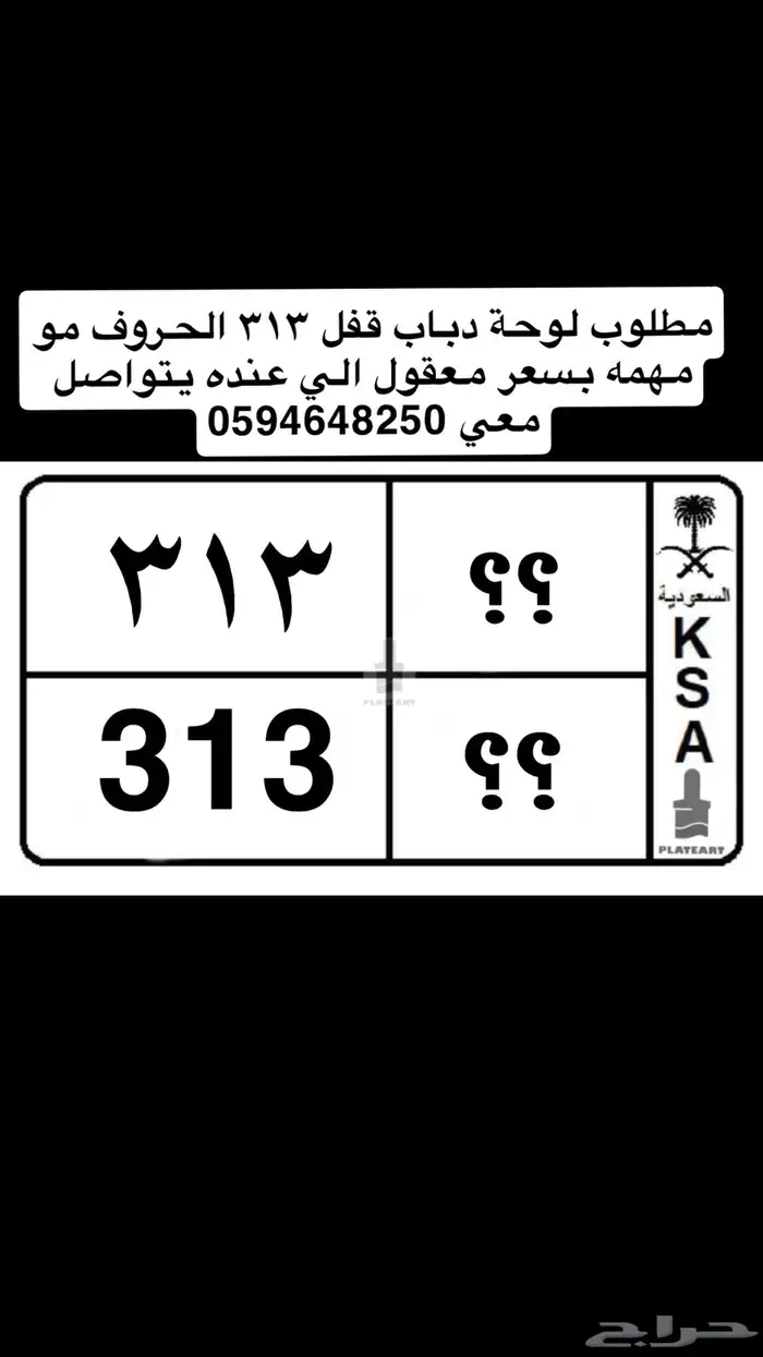 لوحه 313 0
