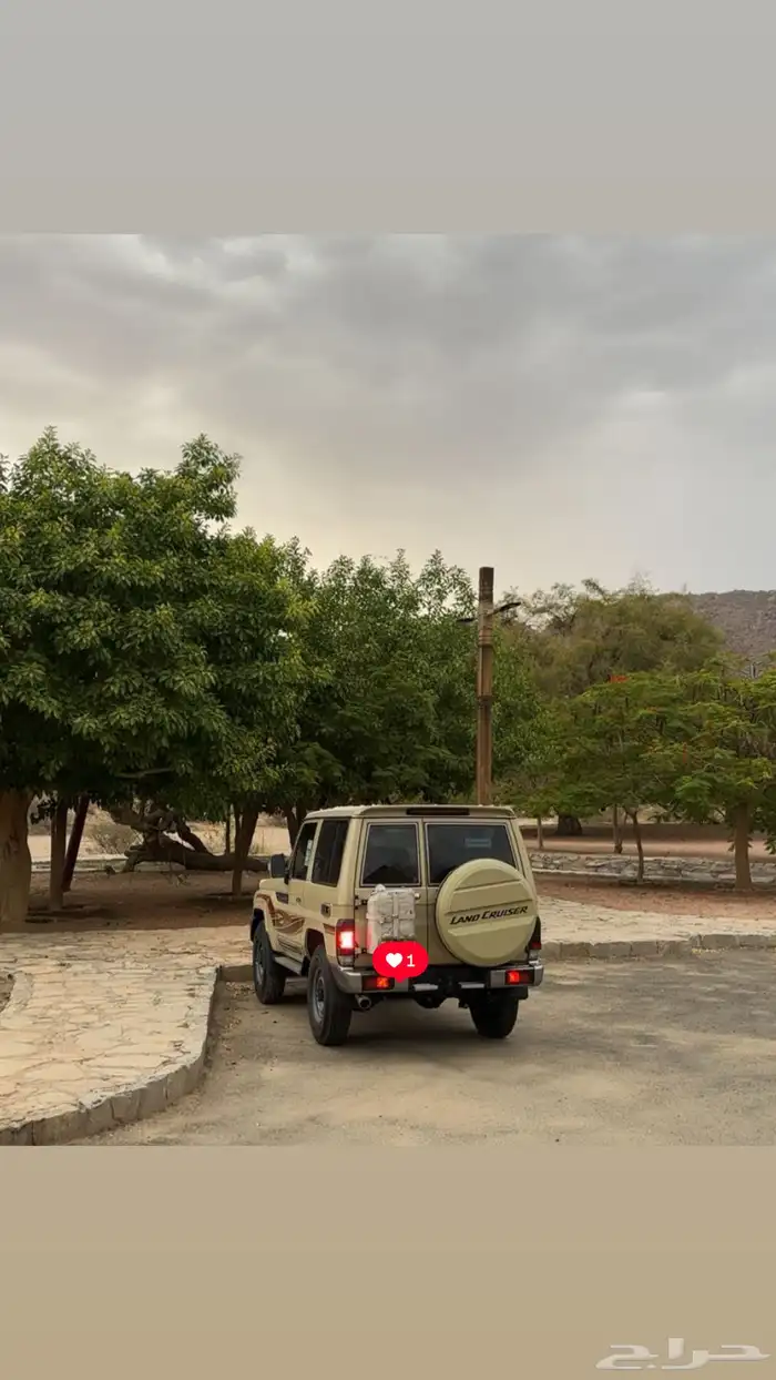 جيب ربع 2018 3