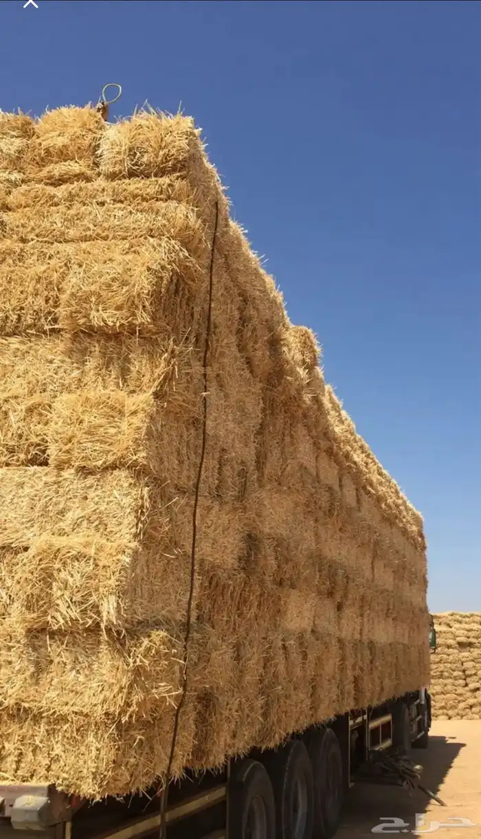تبن الدفع عند الاستلام 0