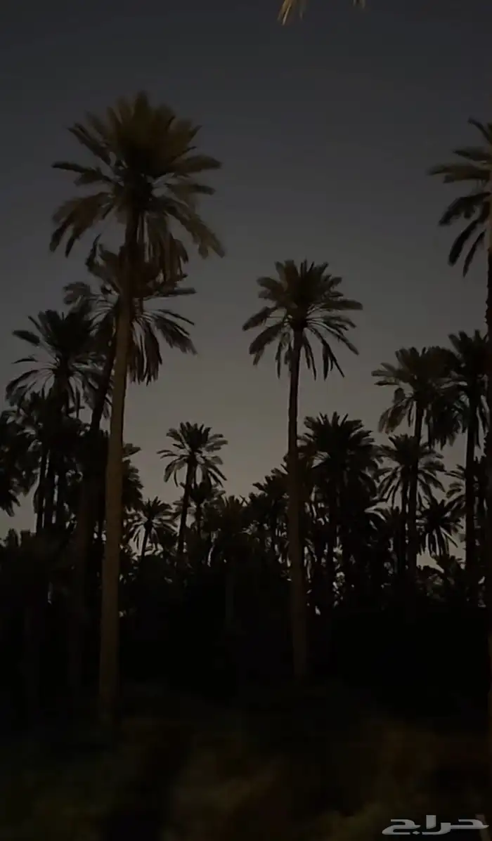 ابي وظيفه حت لو عمله. عماره اغسل العمره 0