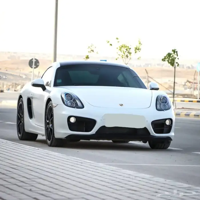 بورش كايمين 2015 3