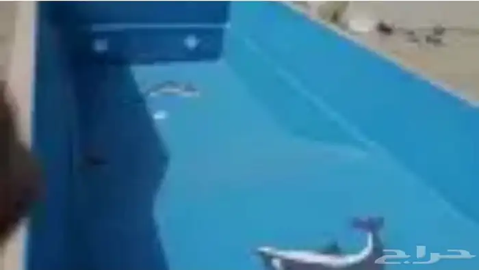 مسبح للبيع 3