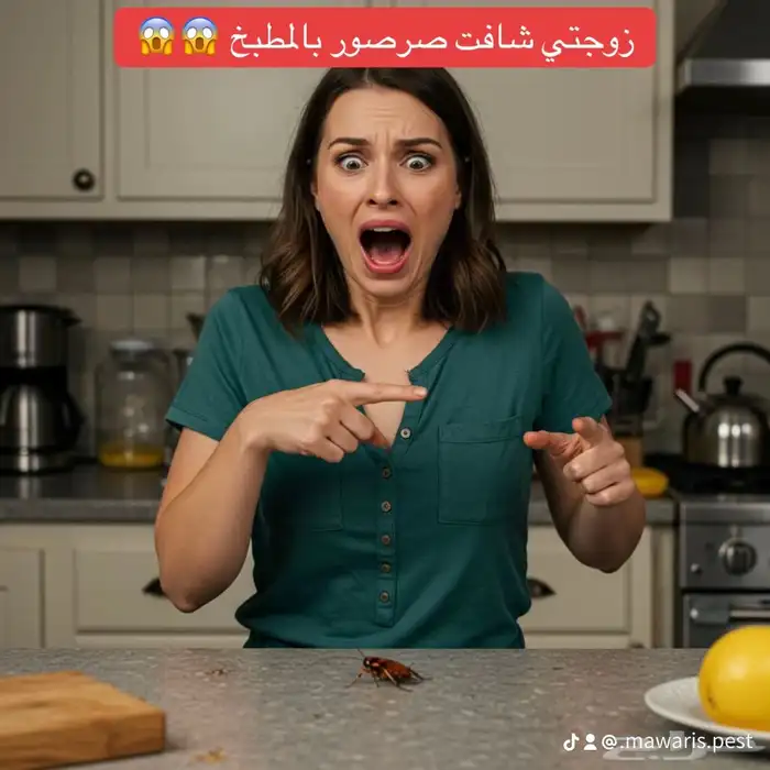 مكافحة حشرات عامة 0