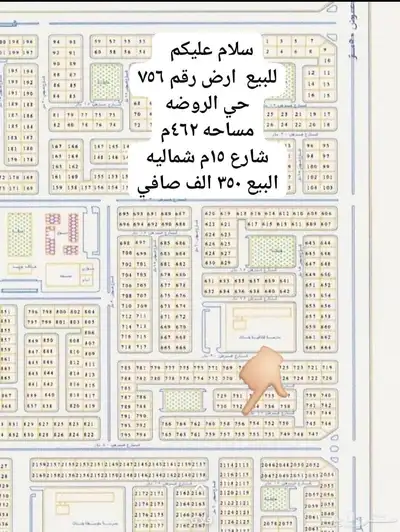 ارض للبيع حي الروضه بسعر 350 الف 0
