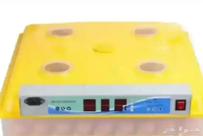 الله يحيي الجميع فقاسه 60 بيضه سليمه مابها شي السعر 300ريال 0