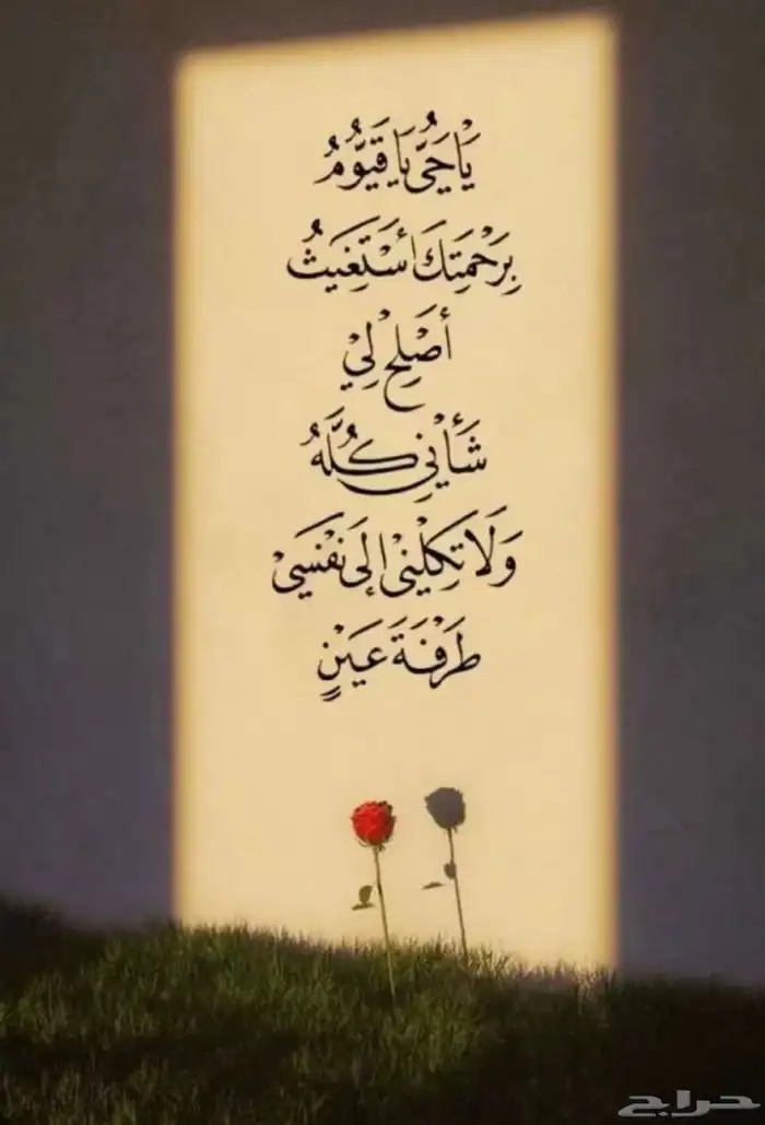 مطلوب شقه للايجار في حي الموضفين ابها 0