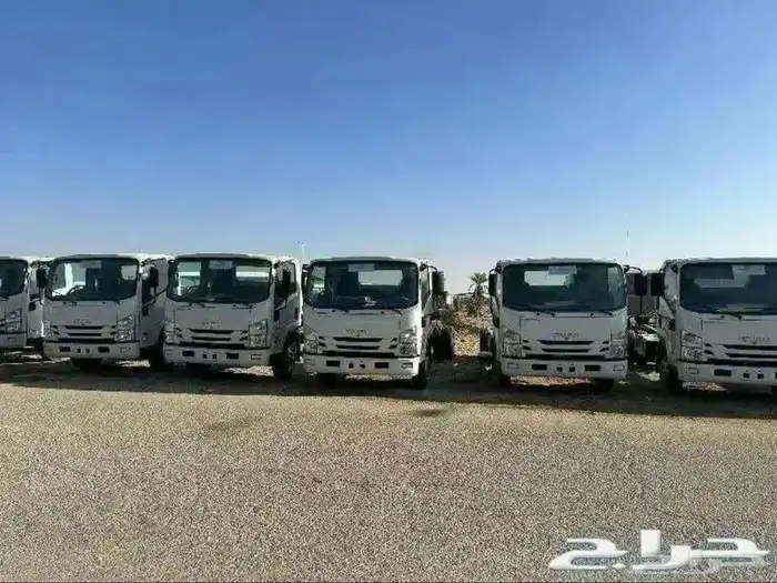 ديانا 4طن شاص طويل 0