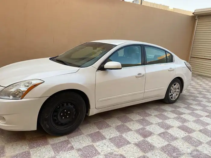 التيما 2010 8