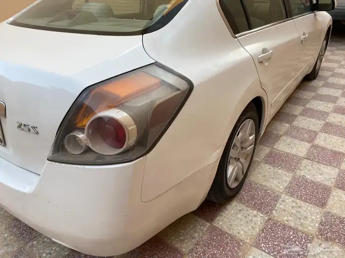 التيما 2010 7