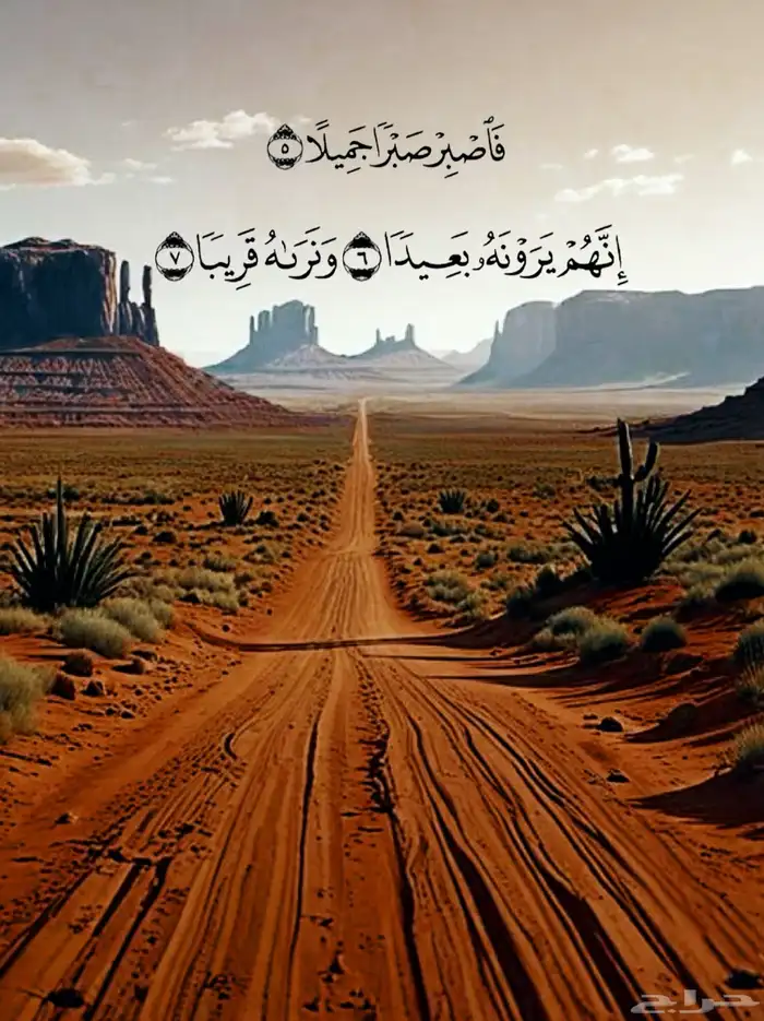 مطلوب شقة ارضيه او دور ارضي 0