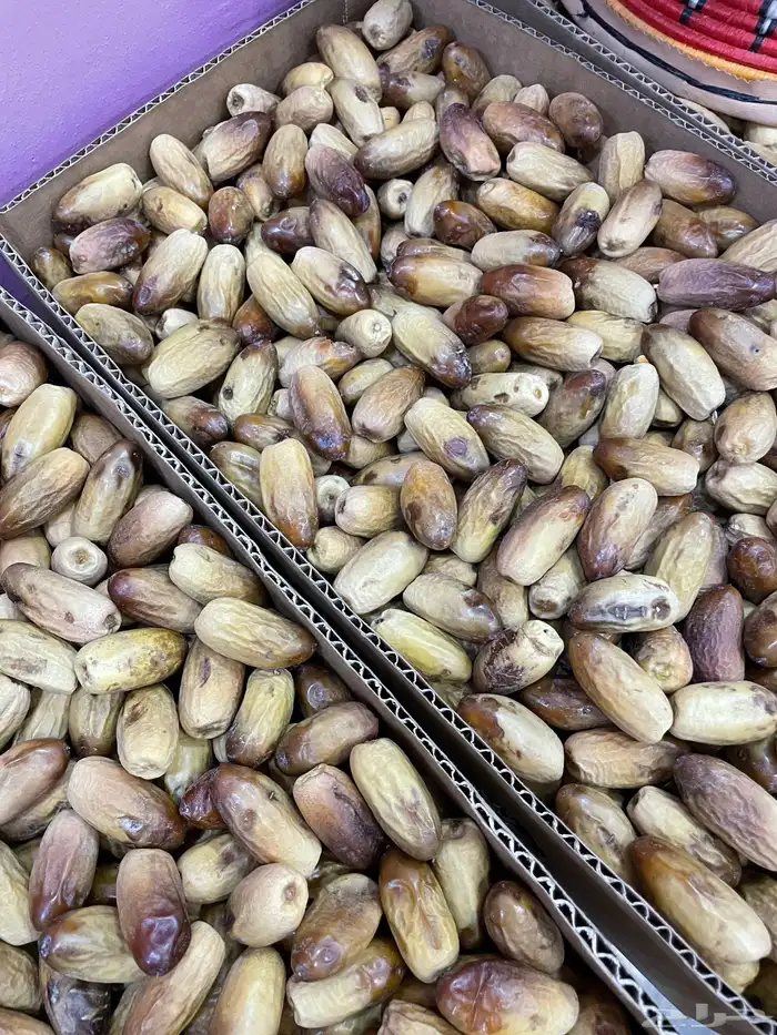 تمر مواكيل نجران عضوي 3