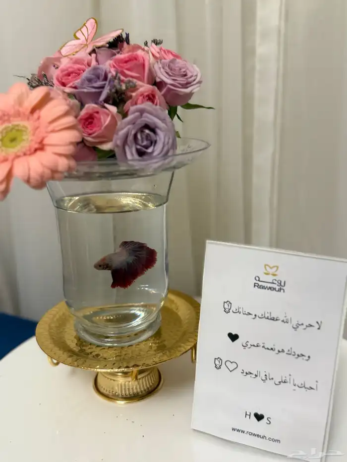 ورد طبيعي مع سمك فايتر 1