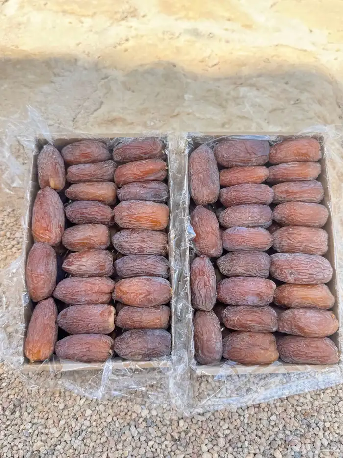 للبيع تمر مجدول فاخر جدا انتاج خاص 3
