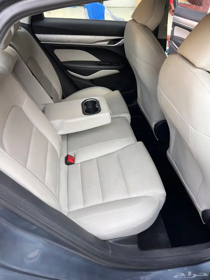 جيلي بينراي 2020 - Geely Binray 1