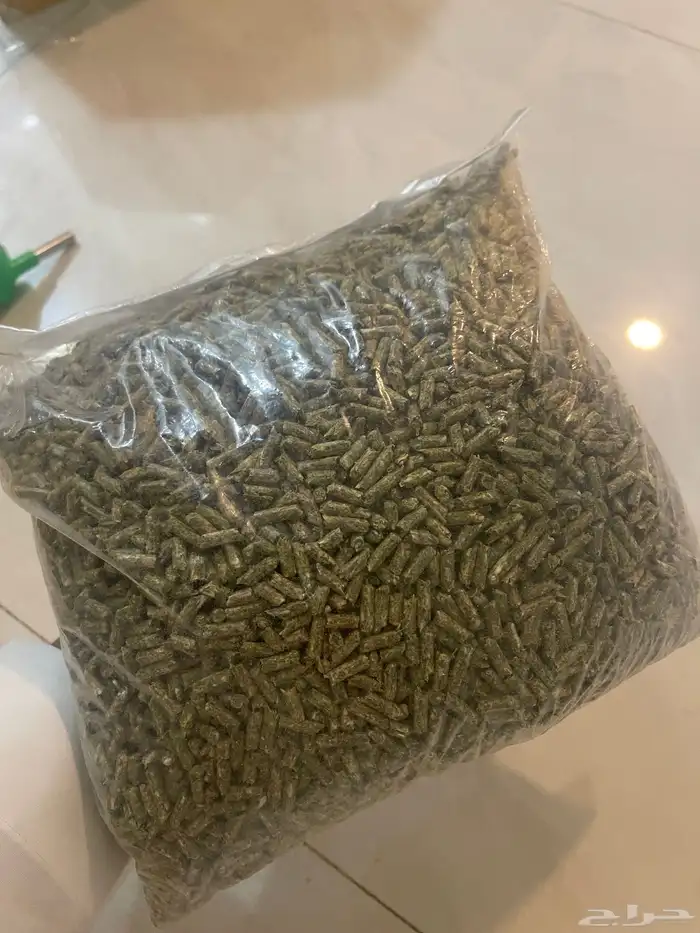 أرنبين مع قفصين 2