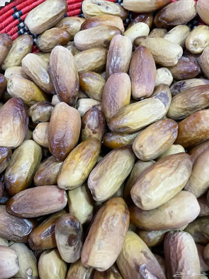 تمر مواكيل نجران عضوي 0