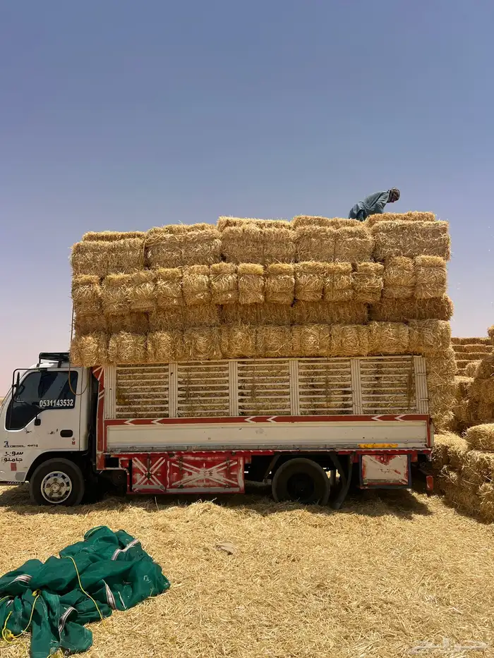 تبن. بر صافي ناعم 0