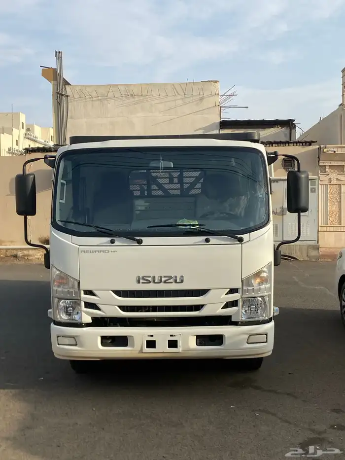 دينا ايسيزو2023 3