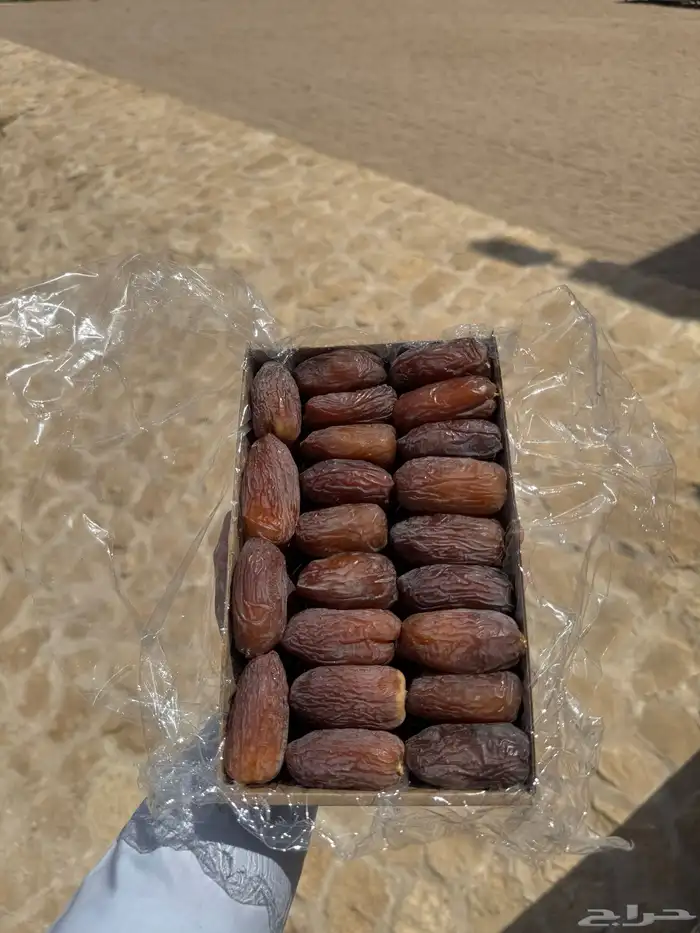 للبيع تمر مجدول فاخر جدا انتاج خاص 1