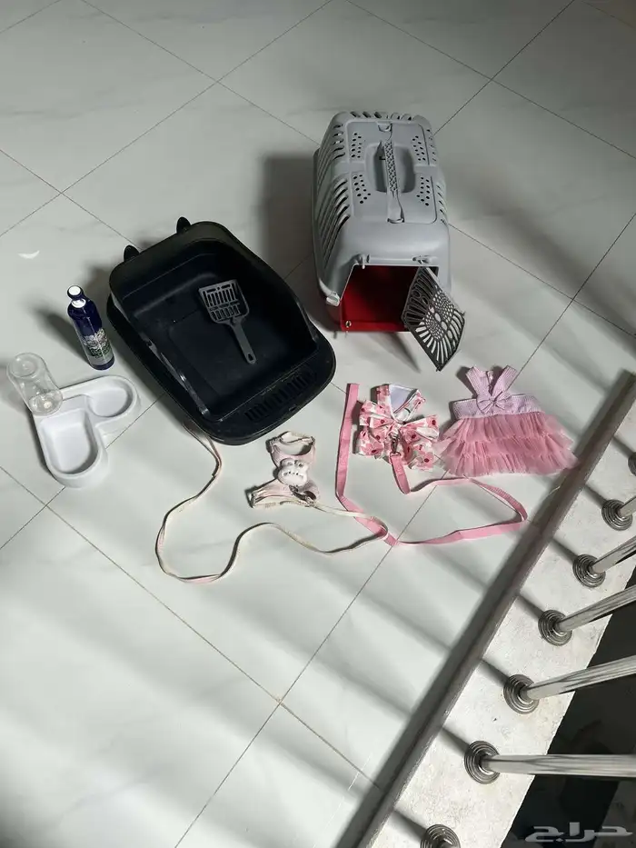 أغراض قطط للبيع 0