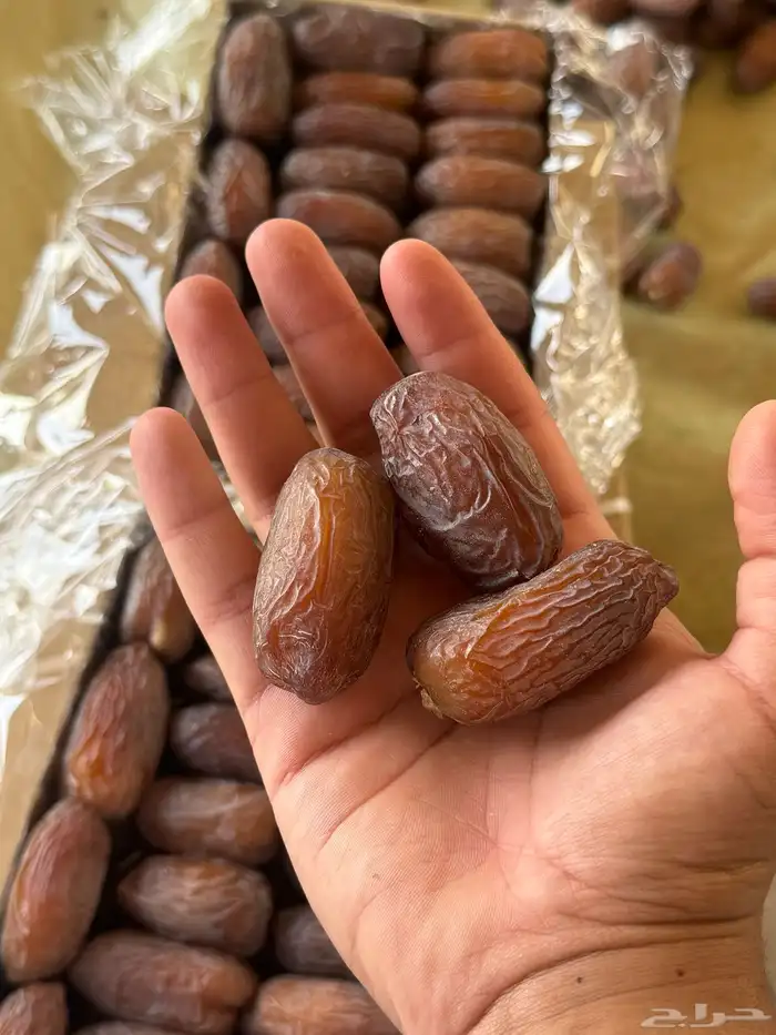 للبيع تمر مجدول فاخر جدا انتاج خاص 2