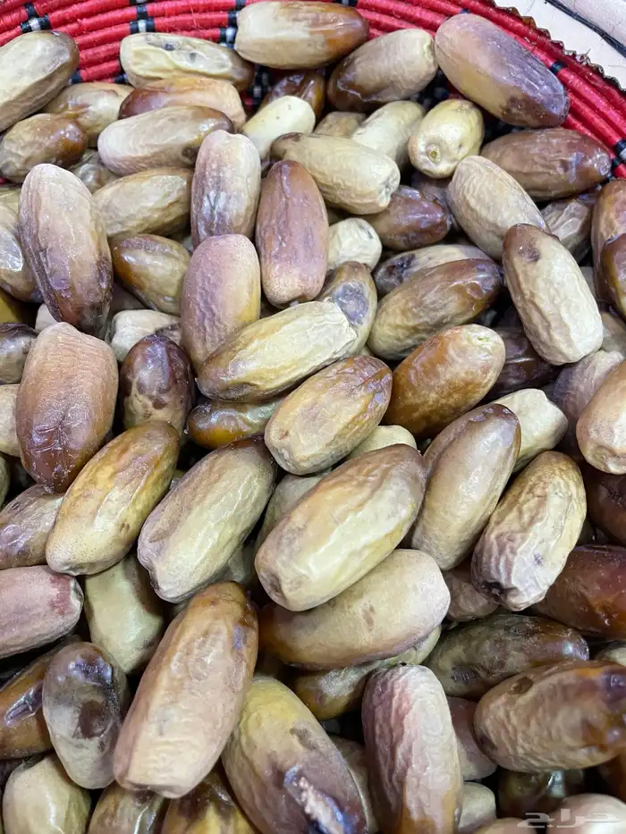 تمر مواكيل نجران عضوي 1