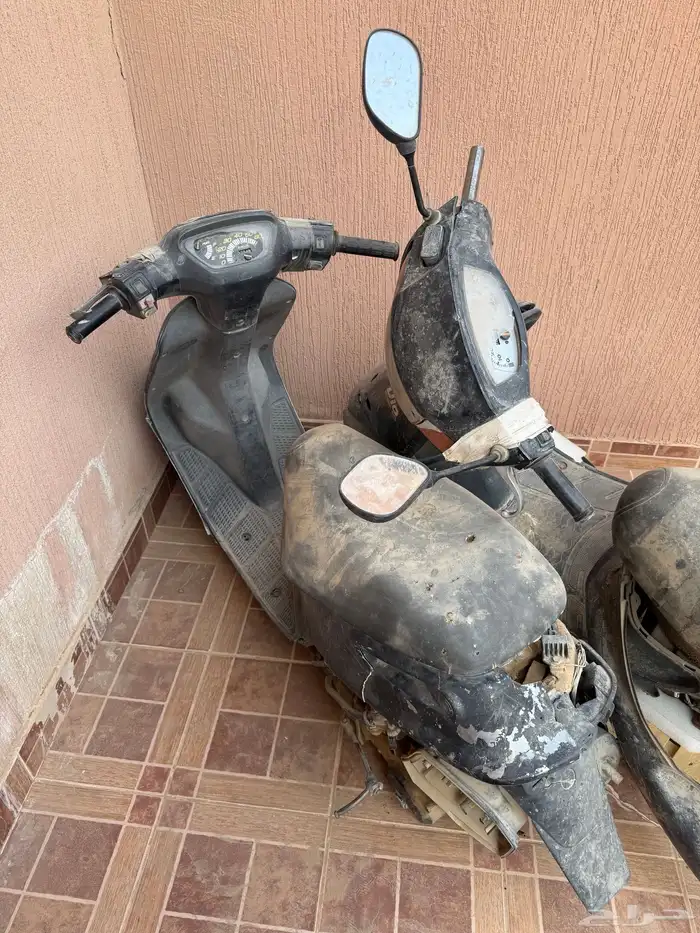دباب بطه ( مباع ) 2