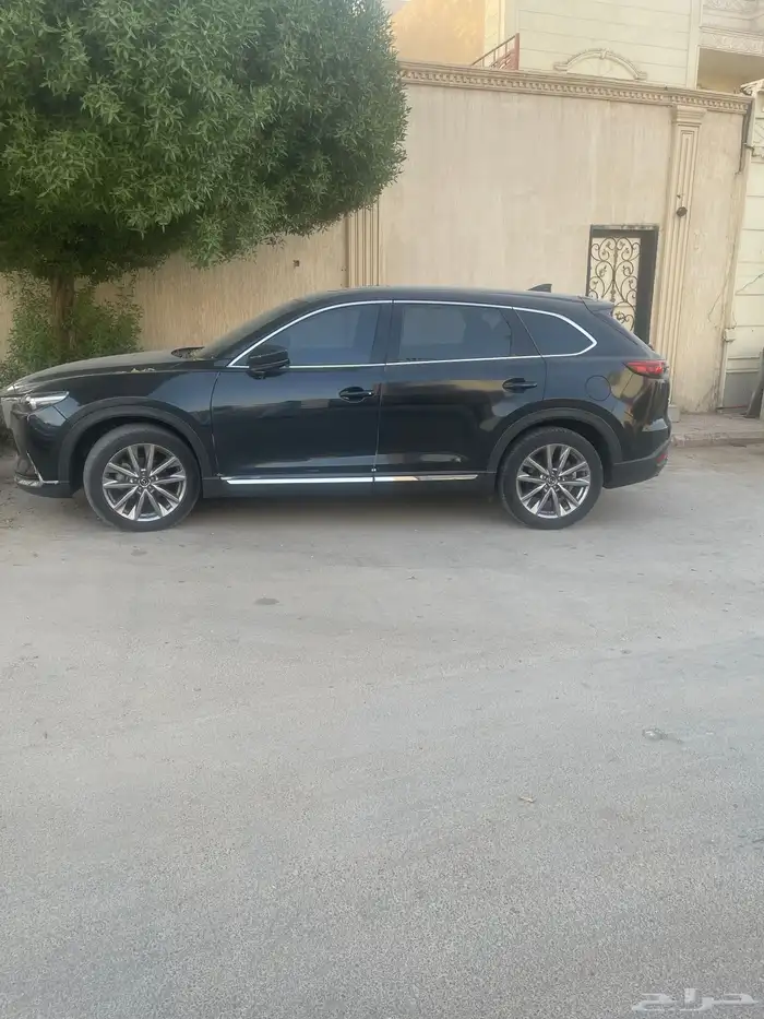 الرياض في الريان 0