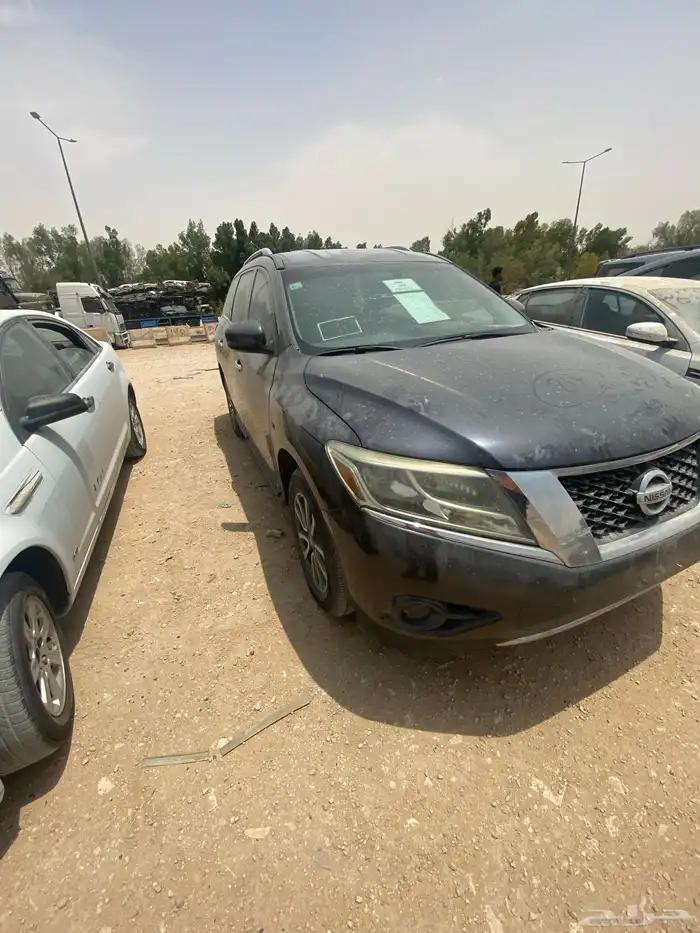 باثفندر2013 2
