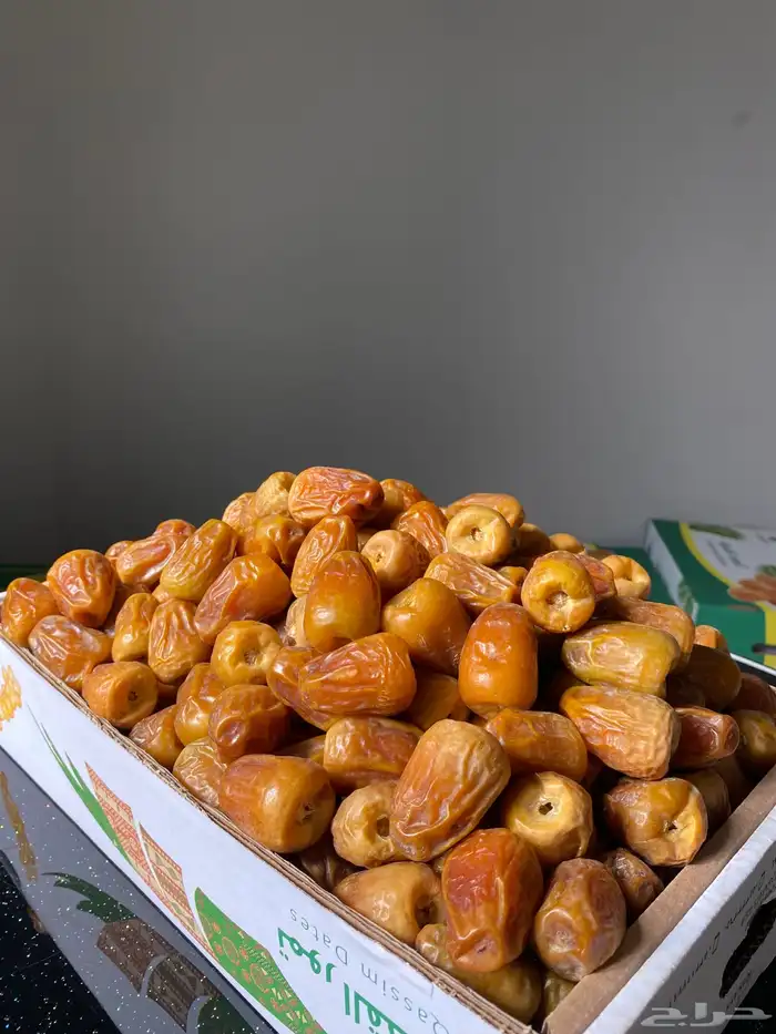 تمور فاخره 3