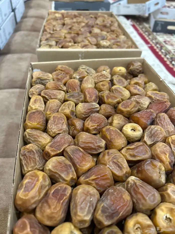 تمر للبيع سكري مفتل 6
