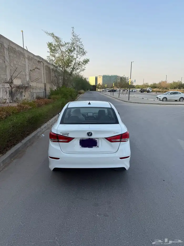 شانجان السفن 2023 فل كامل 0