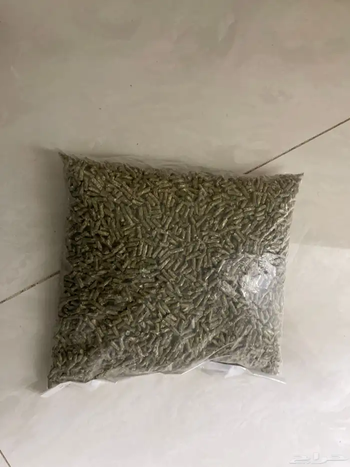 ارنب مع القفص والاكل والماء 3
