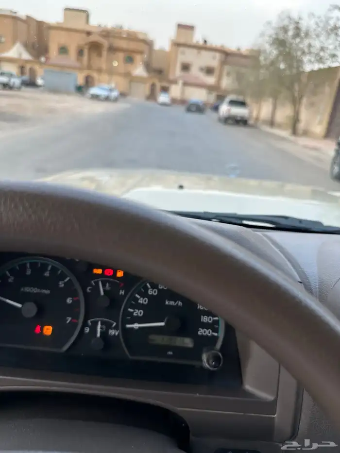 شاص 2018 رفرف دفلك سعودي ممشى قليل . 20