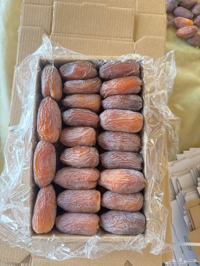للبيع تمر مجدول فاخر جدا انتاج خاص 0