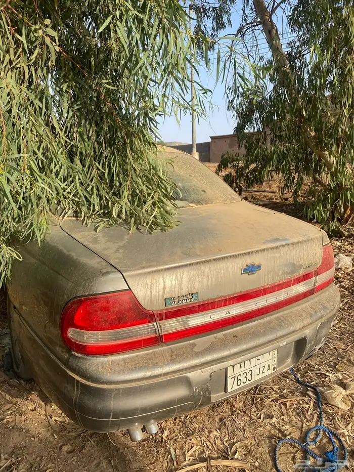 كابريس تشلييح 0