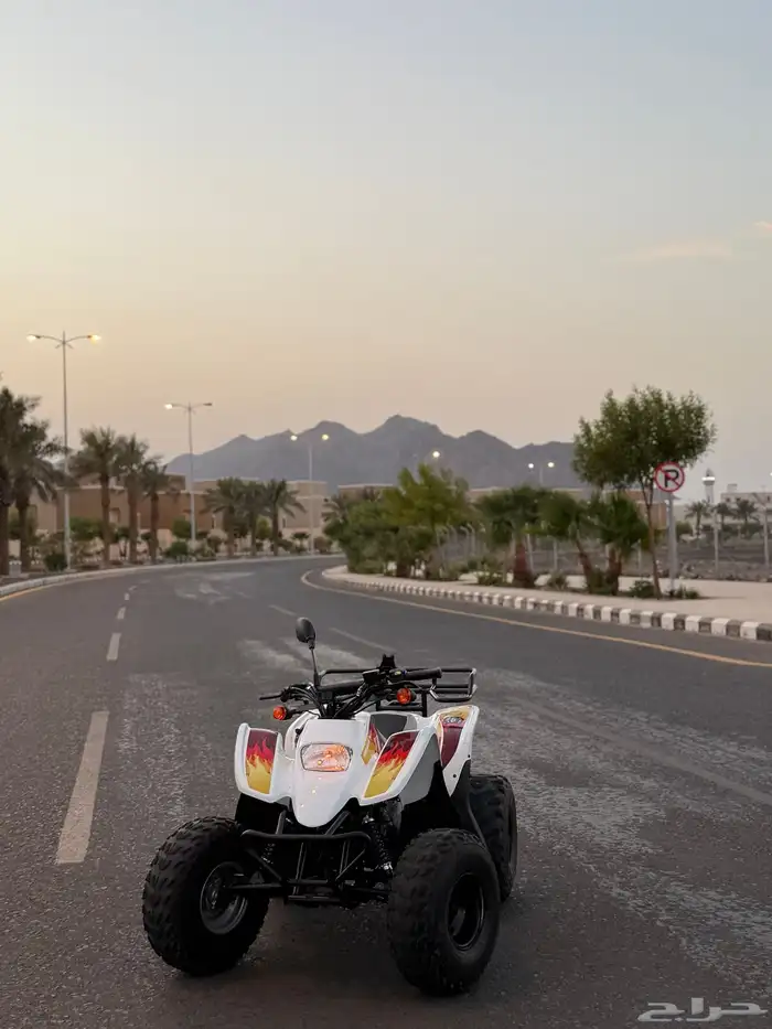 دباب سويدي 2