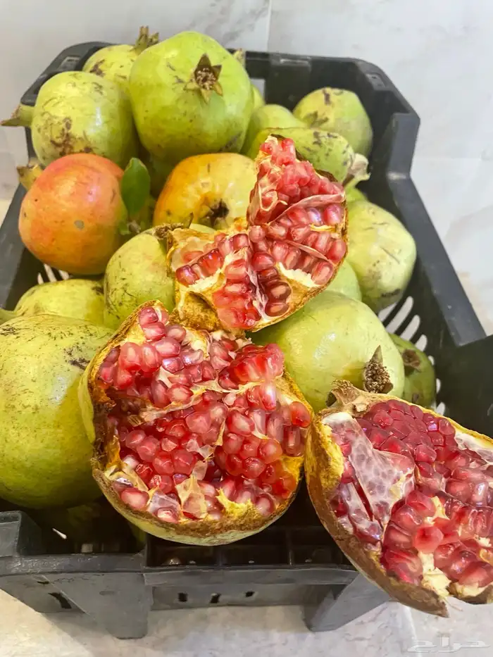 رمان طايفي انتاج مزرعه في احد رفيده 3